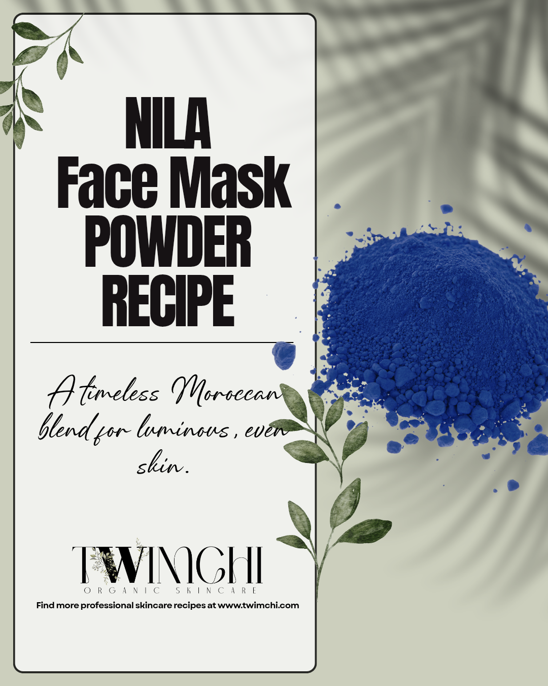 NILA FACE MASK POWDER - PROFESSIONAL RECIPE ( Digital Download)